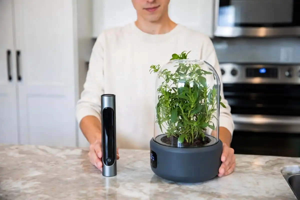 Person comparing and choosing between two new kitchen gadgets